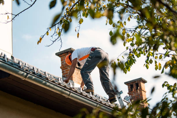 Best Best Roofing Contractors  in Bloomington, IL